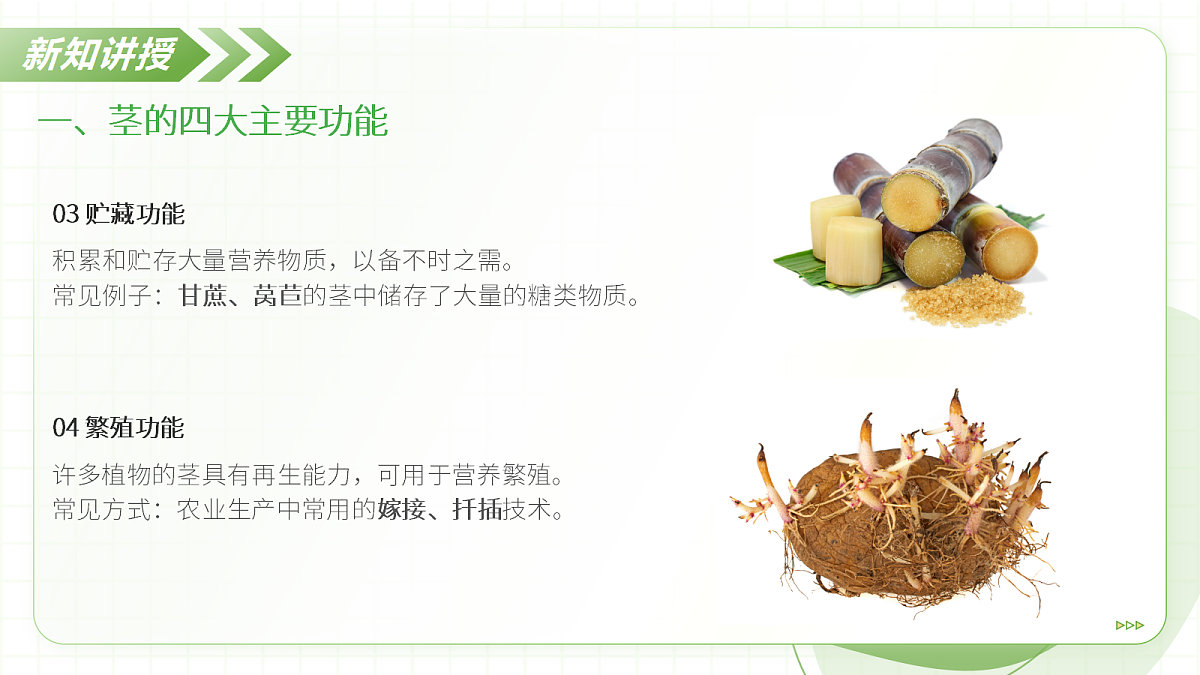 18397147第7页