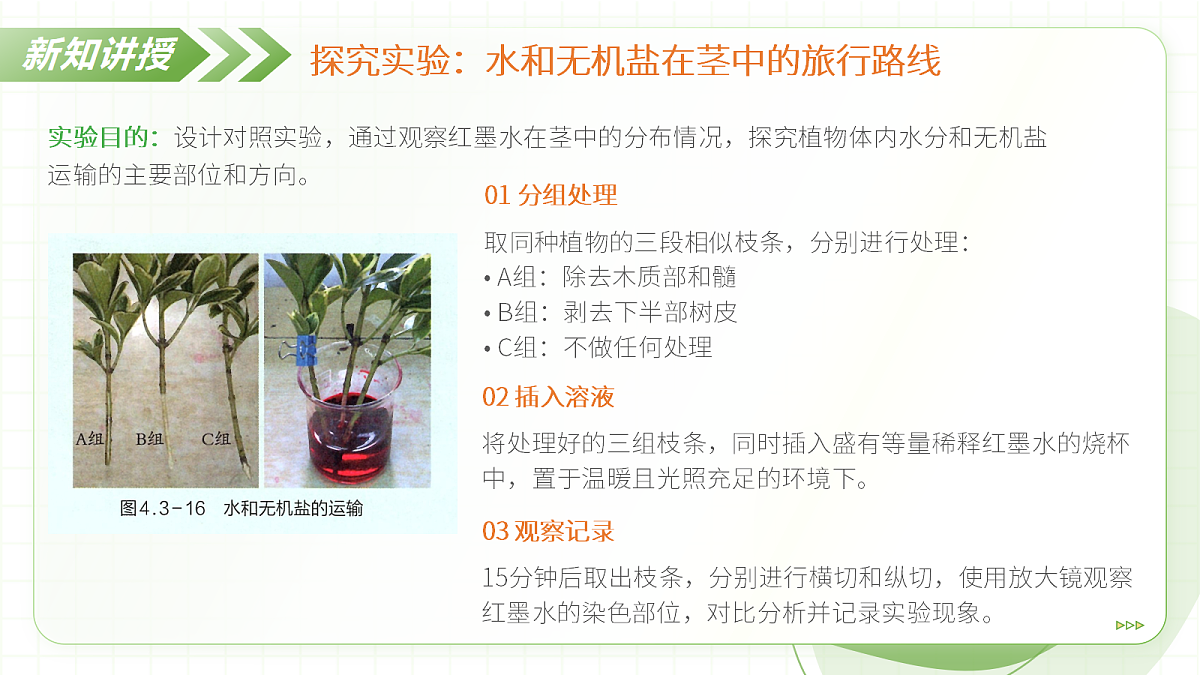 18397147第8页