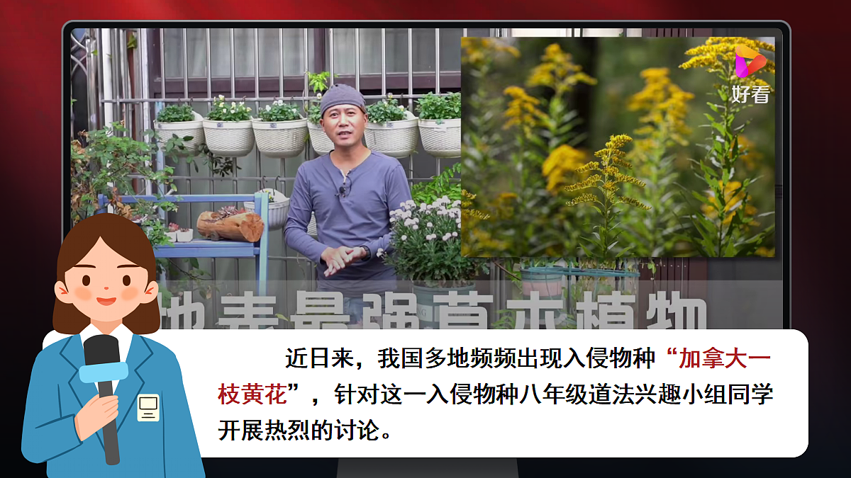 18397187第3页