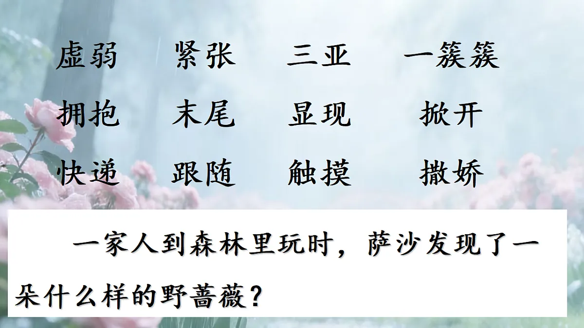 18397753第1页