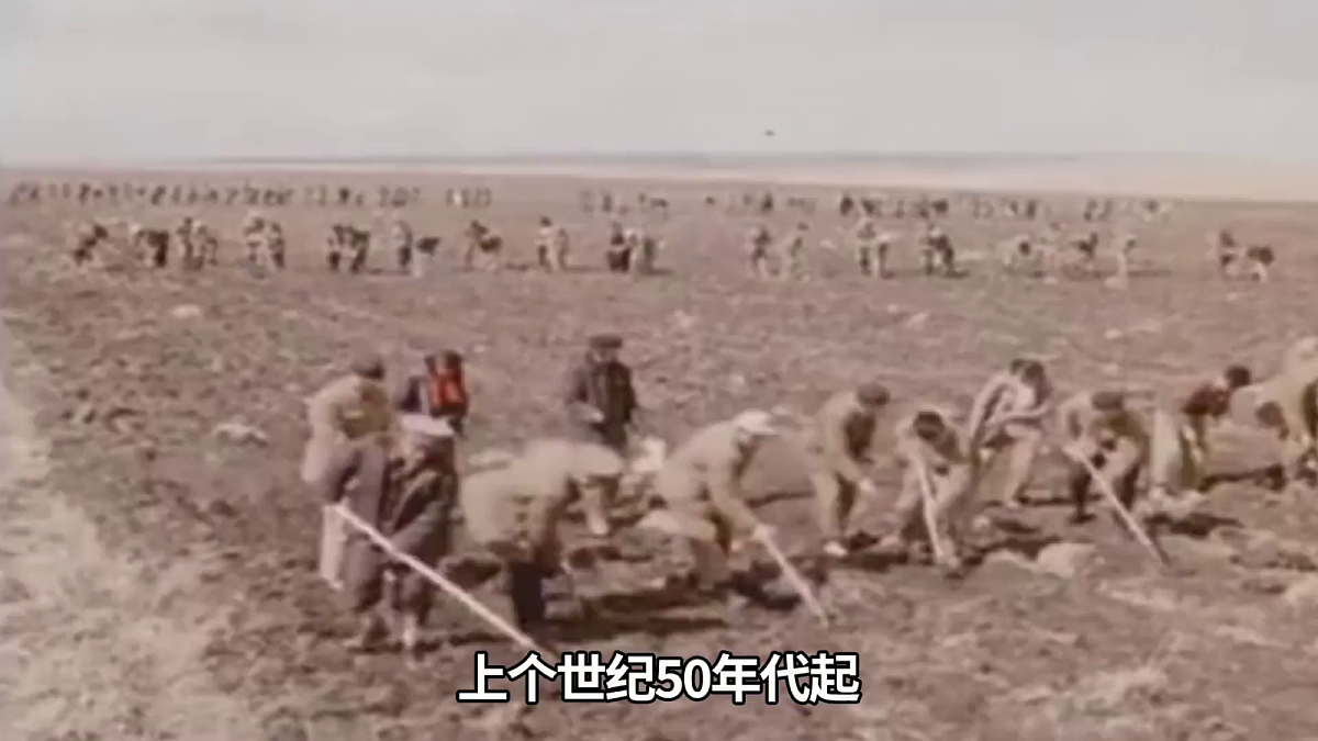 18398702第5页