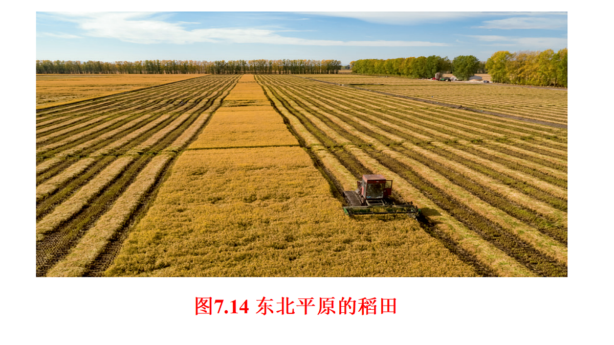 18398702第6页