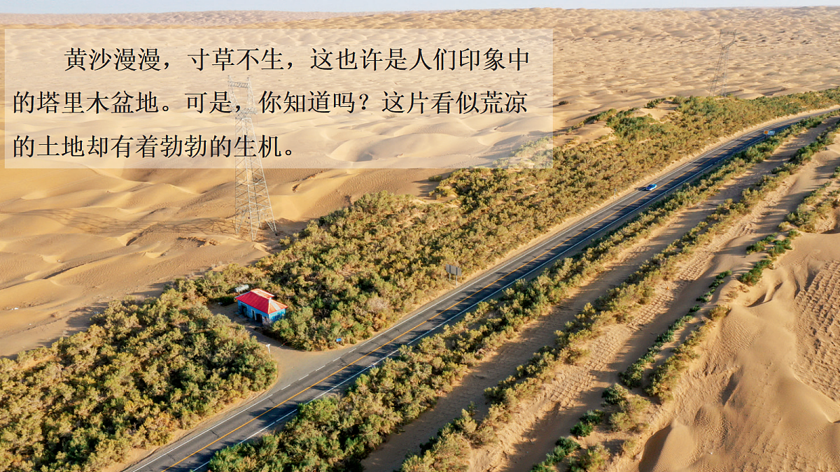 18398732第7页