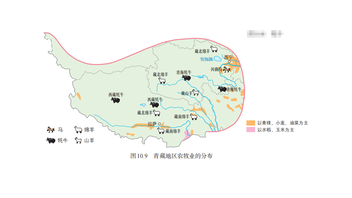 18398738第6页