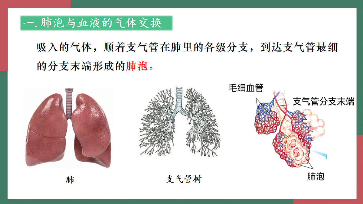 18398788第5页