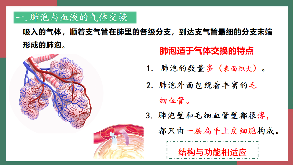 18398788第6页