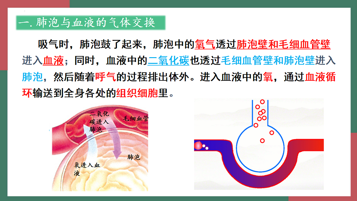 18398788第7页