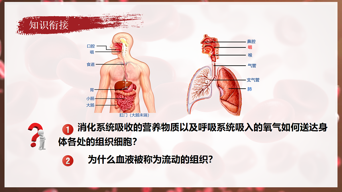18398793第6页