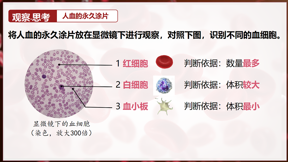 18398793第8页