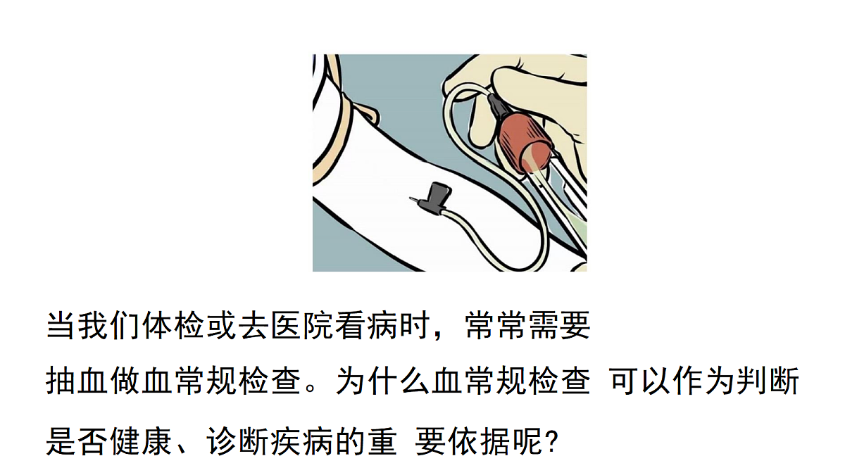 18398794第3页