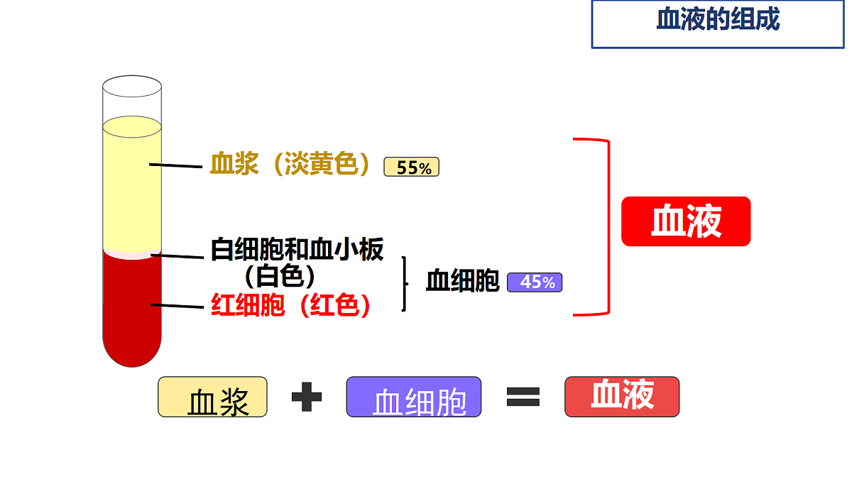 18398794第6页