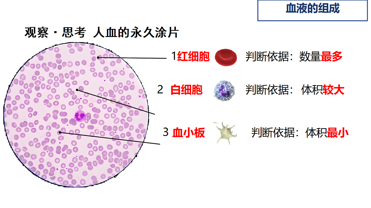 18398794第8页