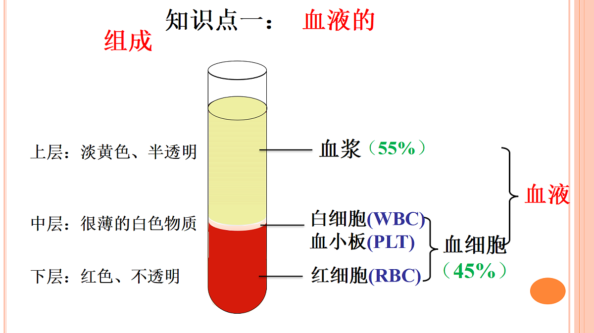 18398795第5页