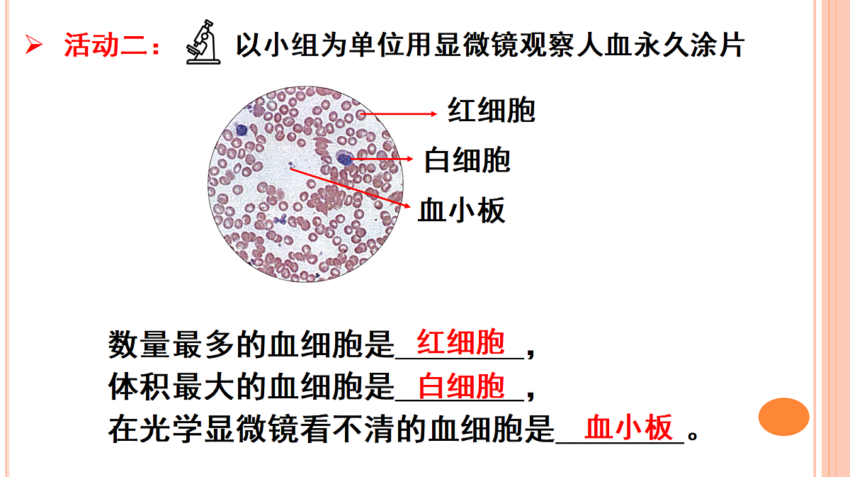 18398795第7页