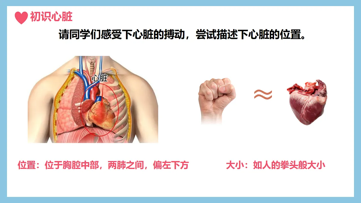 18398797第3页
