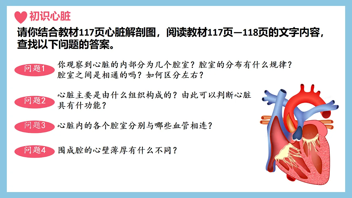 18398797第4页
