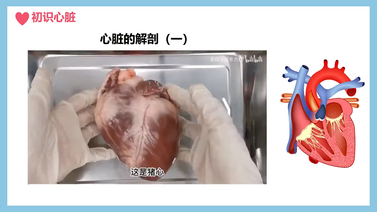 18398797第5页