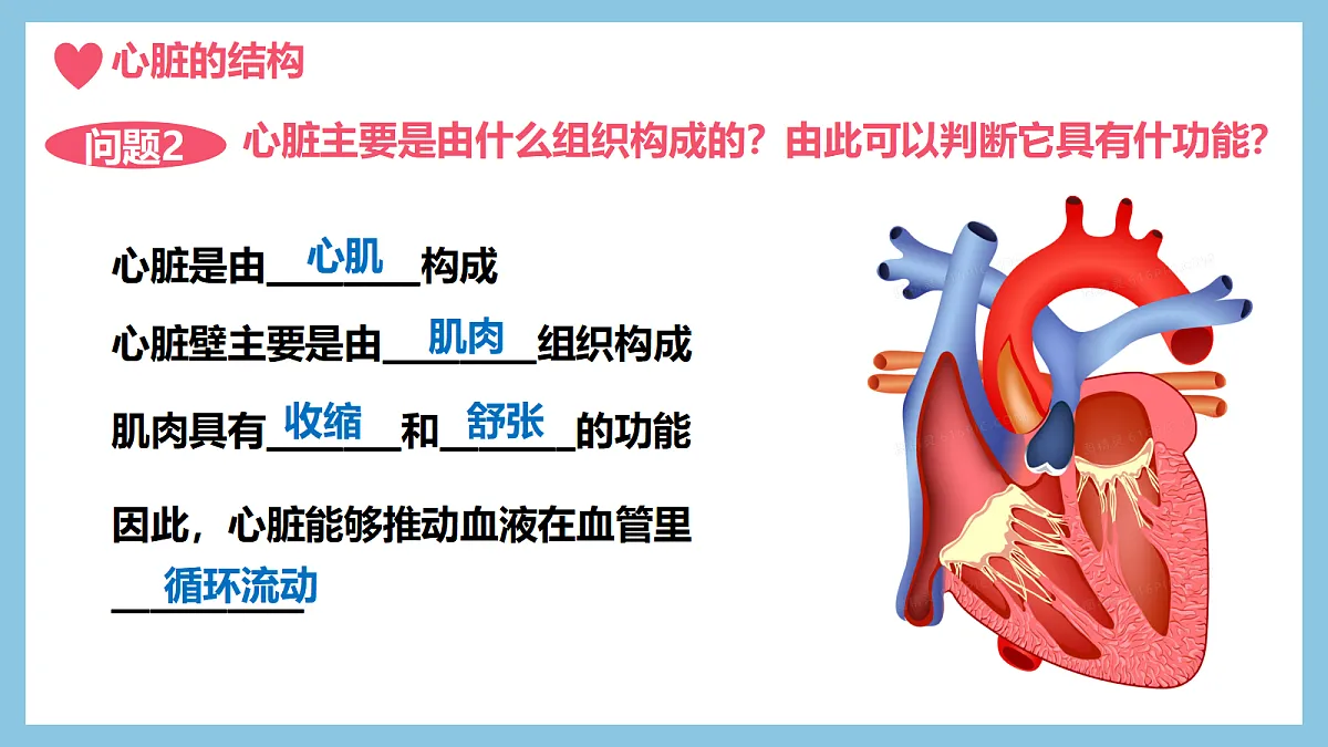 18398797第7页