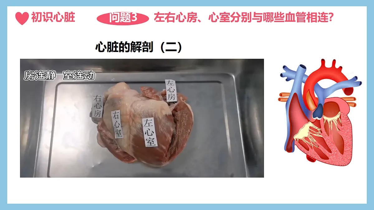 18398797第8页