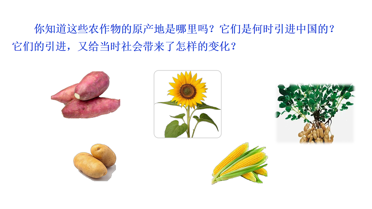18398814第1页