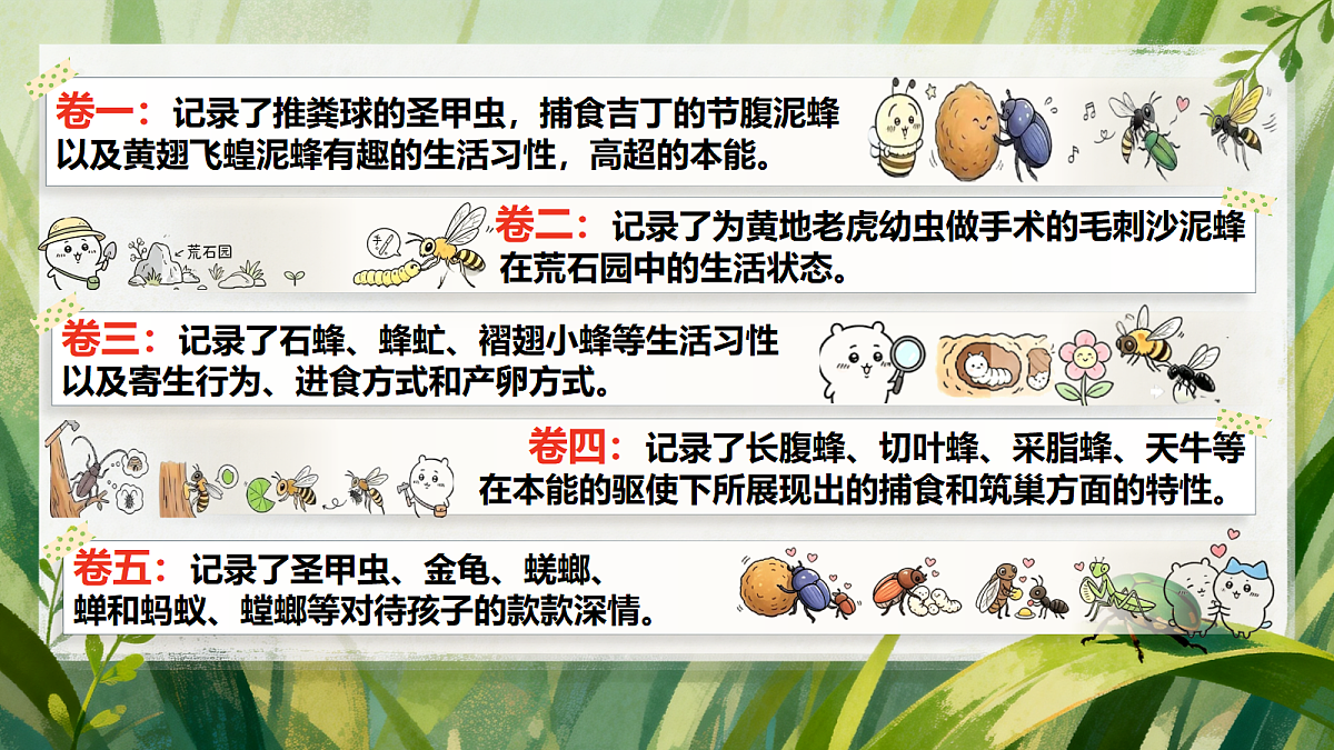 18398824第7页