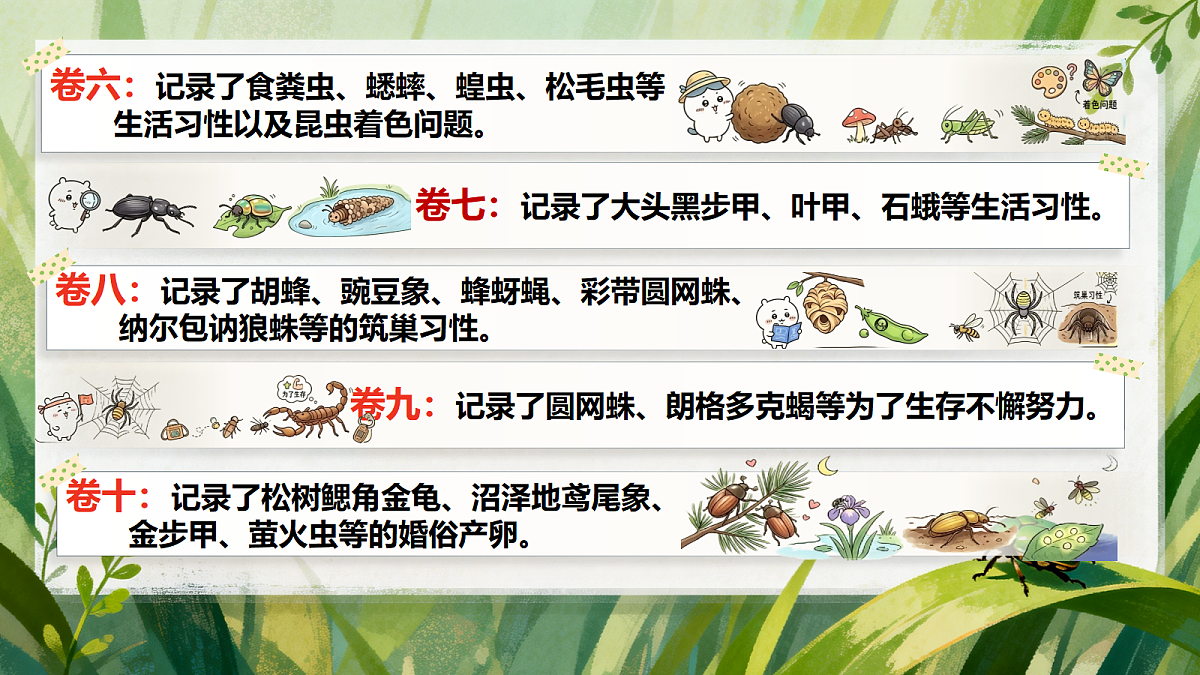 18398824第8页