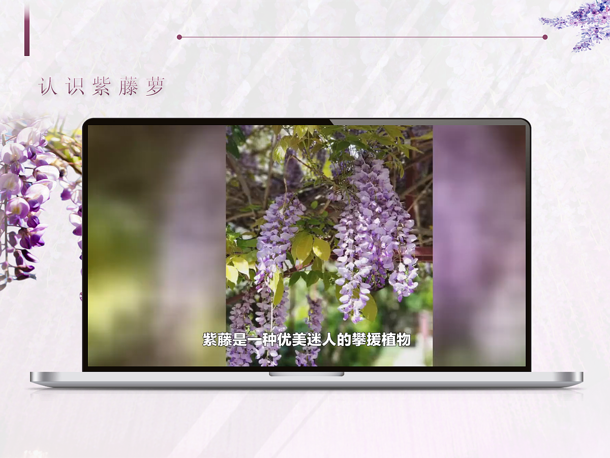 18398939第3页