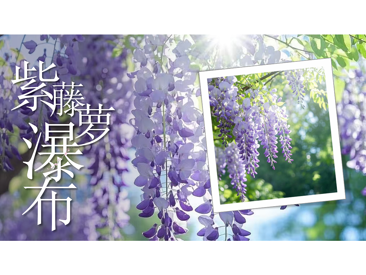 18398939第4页