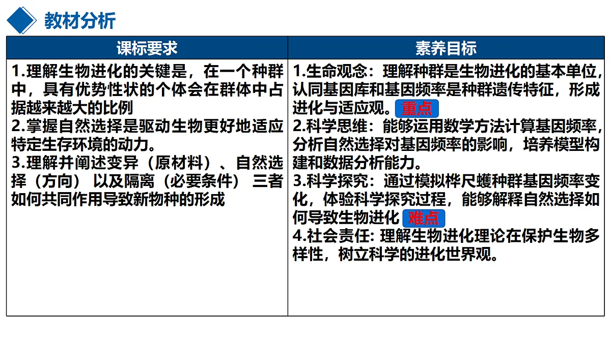 18400396第2页