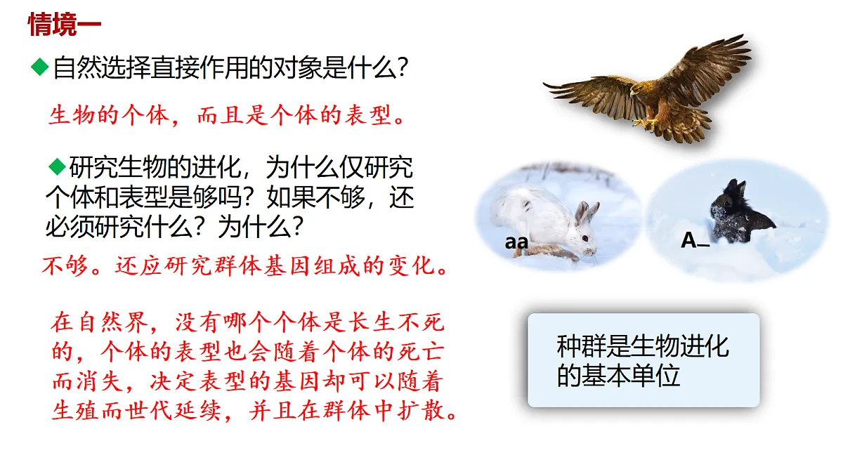 18400396第5页