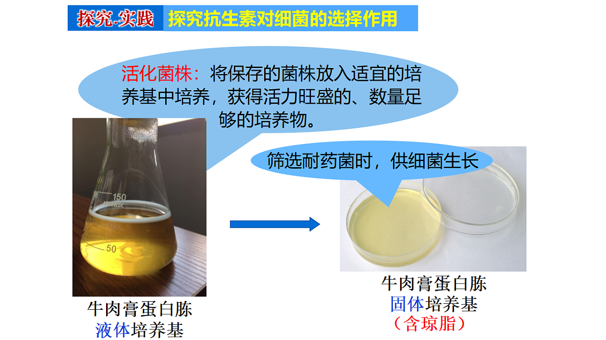 18400397第7页