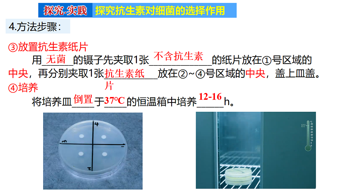 18400397第8页