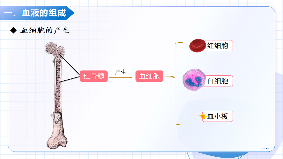 18400836第8页