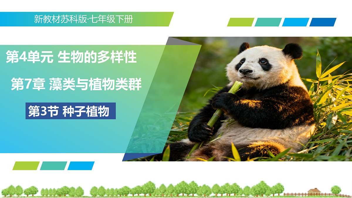 18400842第1页