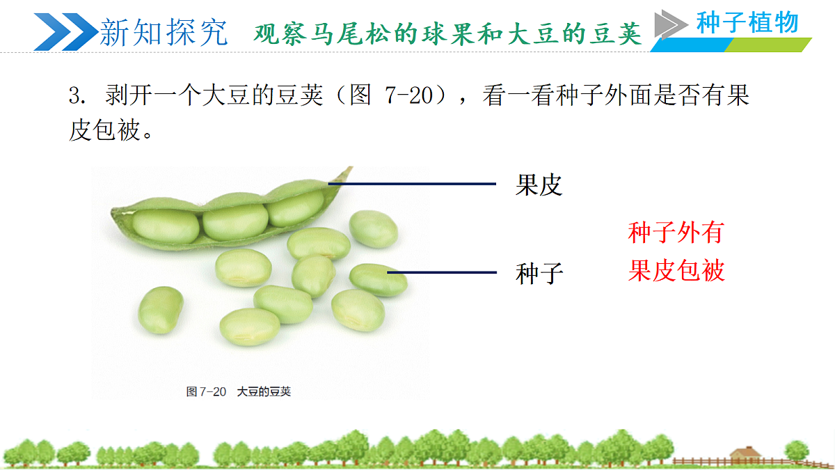 18400842第6页