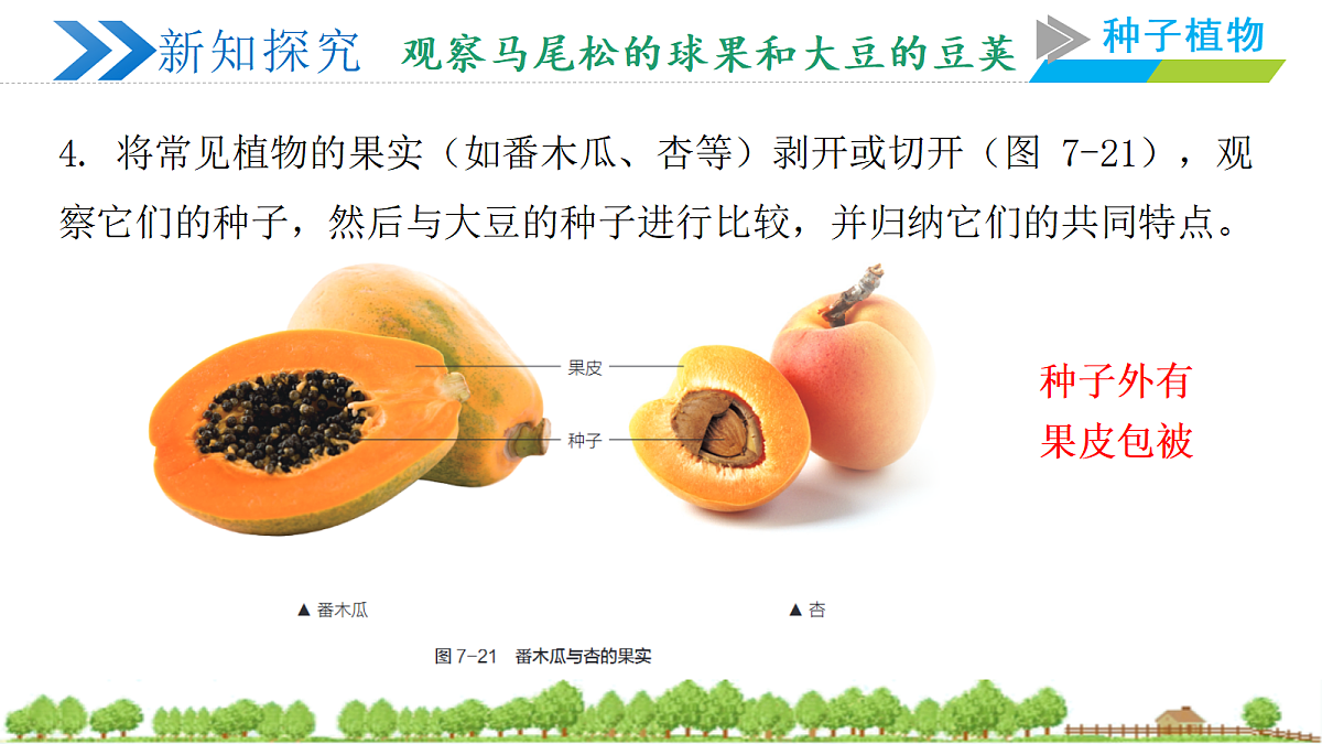 18400842第7页