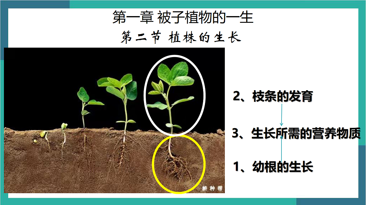 18400847第1页