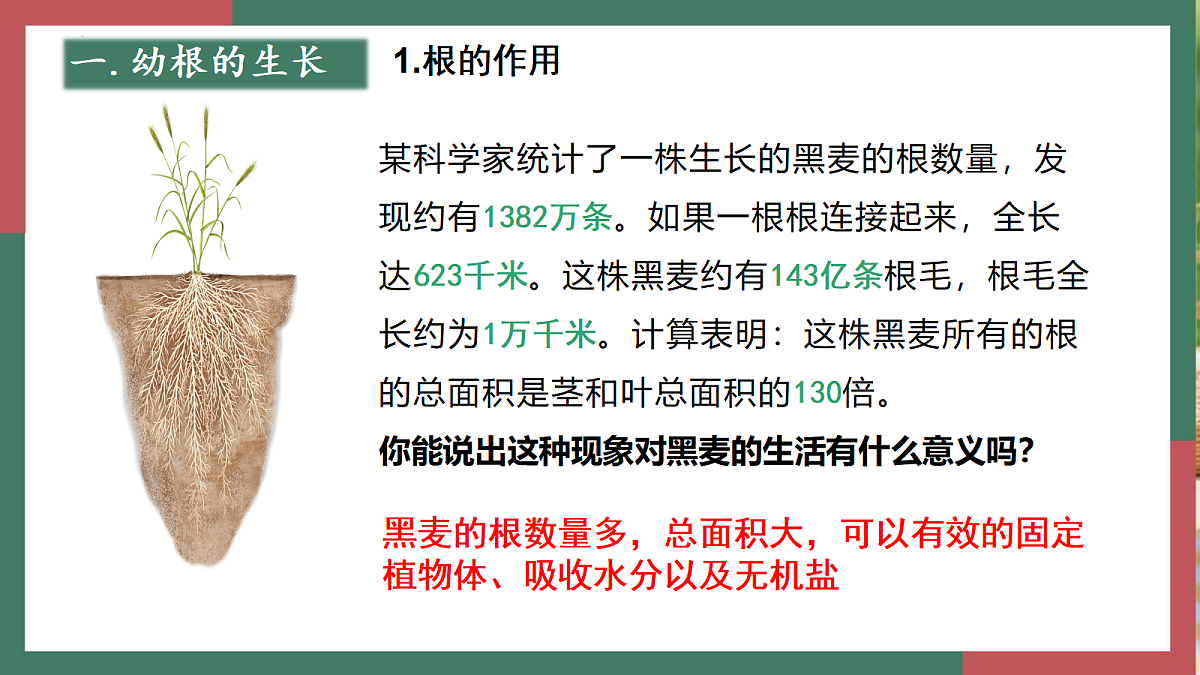 18400847第2页