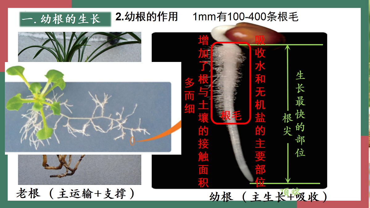 18400847第3页