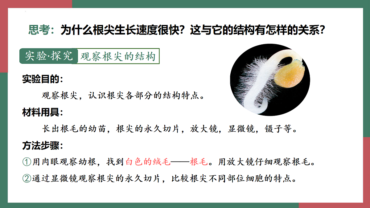 18400847第4页