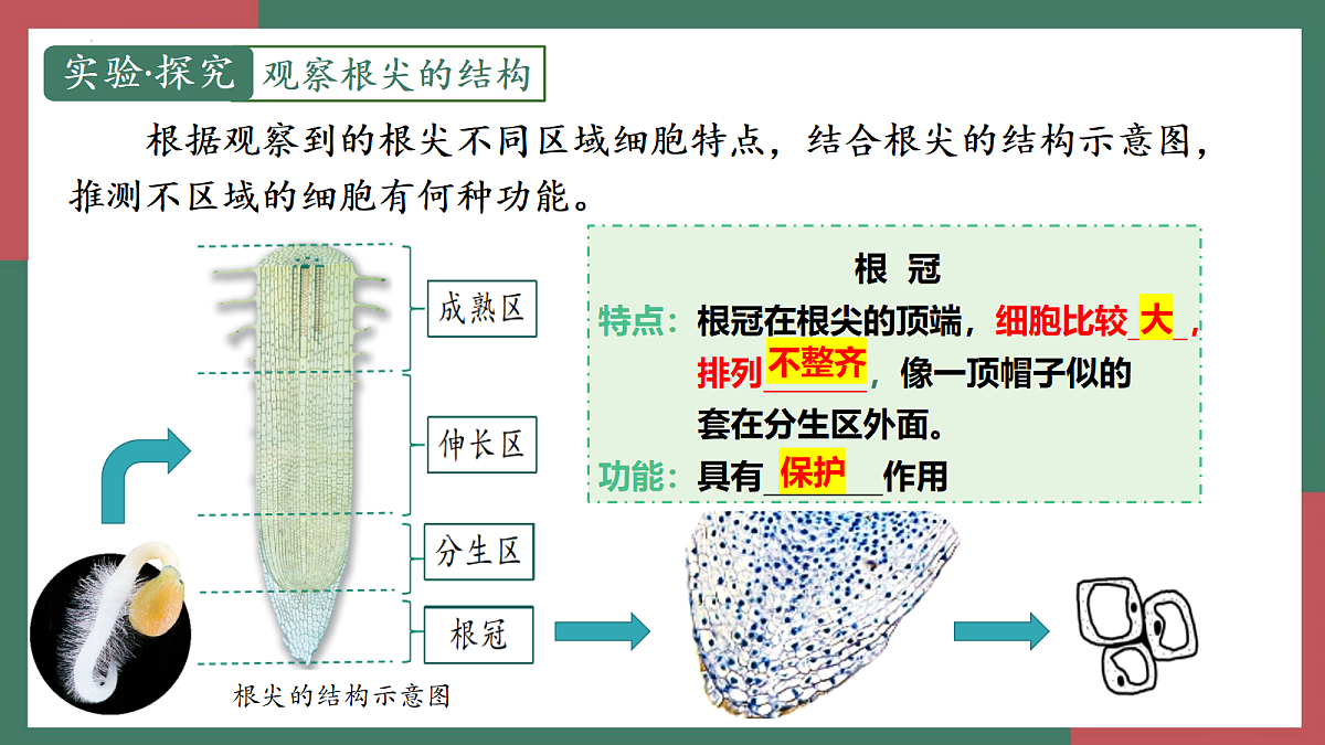 18400847第6页
