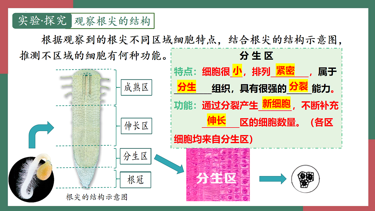 18400847第7页