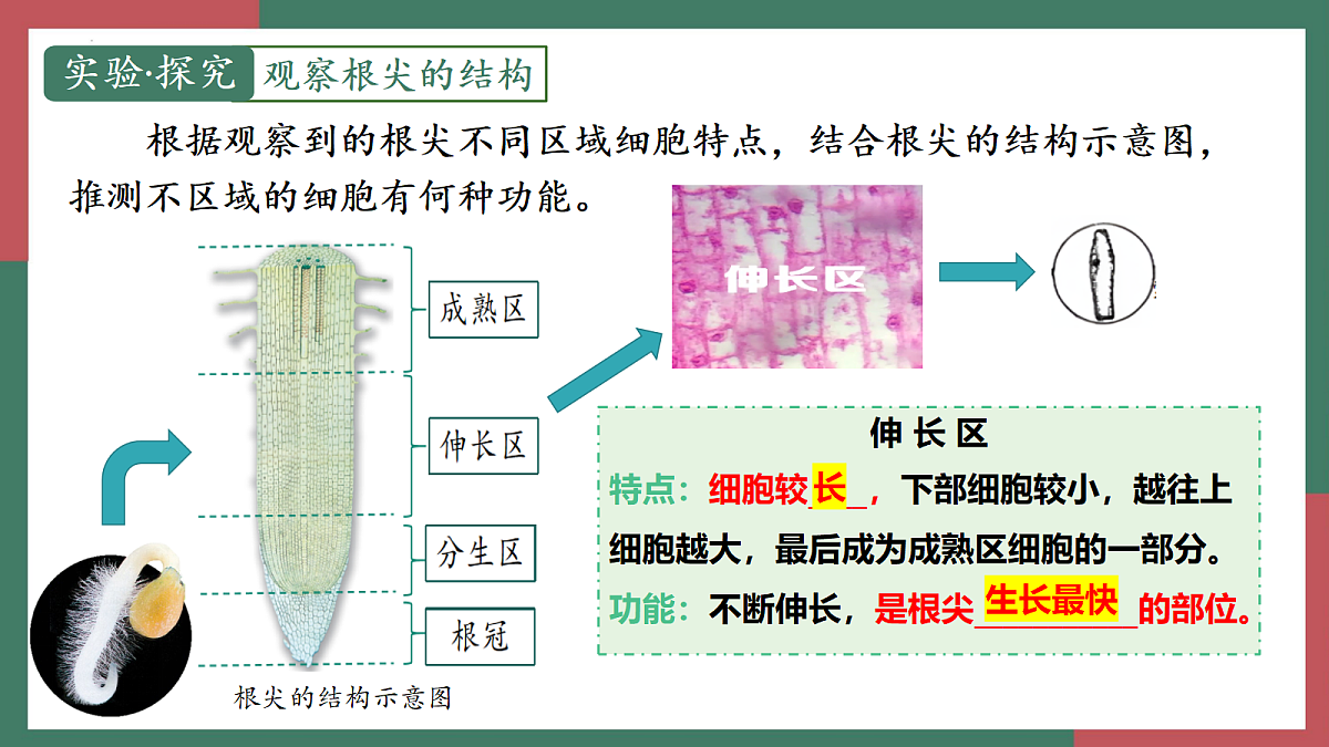 18400847第8页