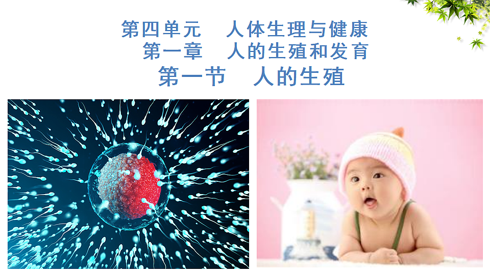 18400848第1页