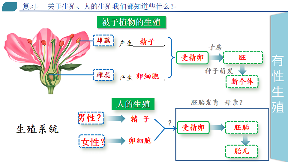 18400848第2页
