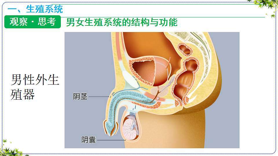 18400848第3页
