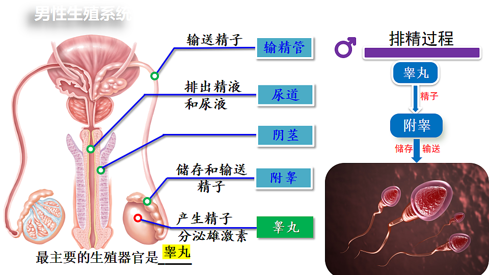 18400848第4页