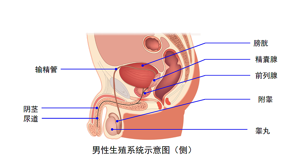 18400848第5页