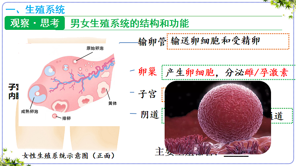 18400848第6页