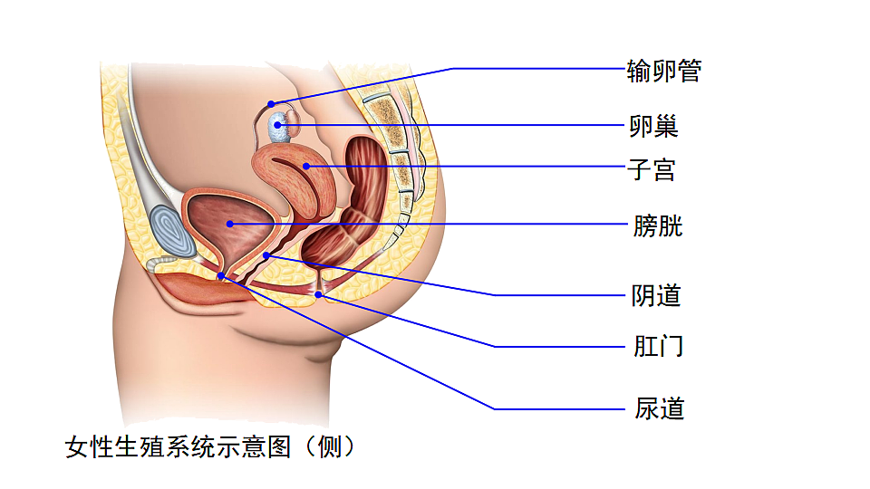 18400848第7页